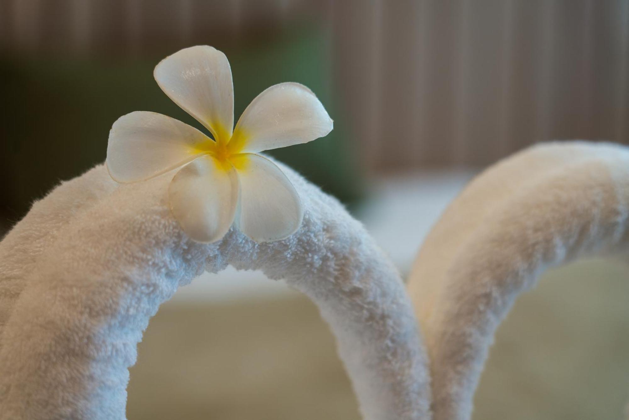 Niranapa Boutique Resort شاطئ كاتا المظهر الخارجي الصورة
