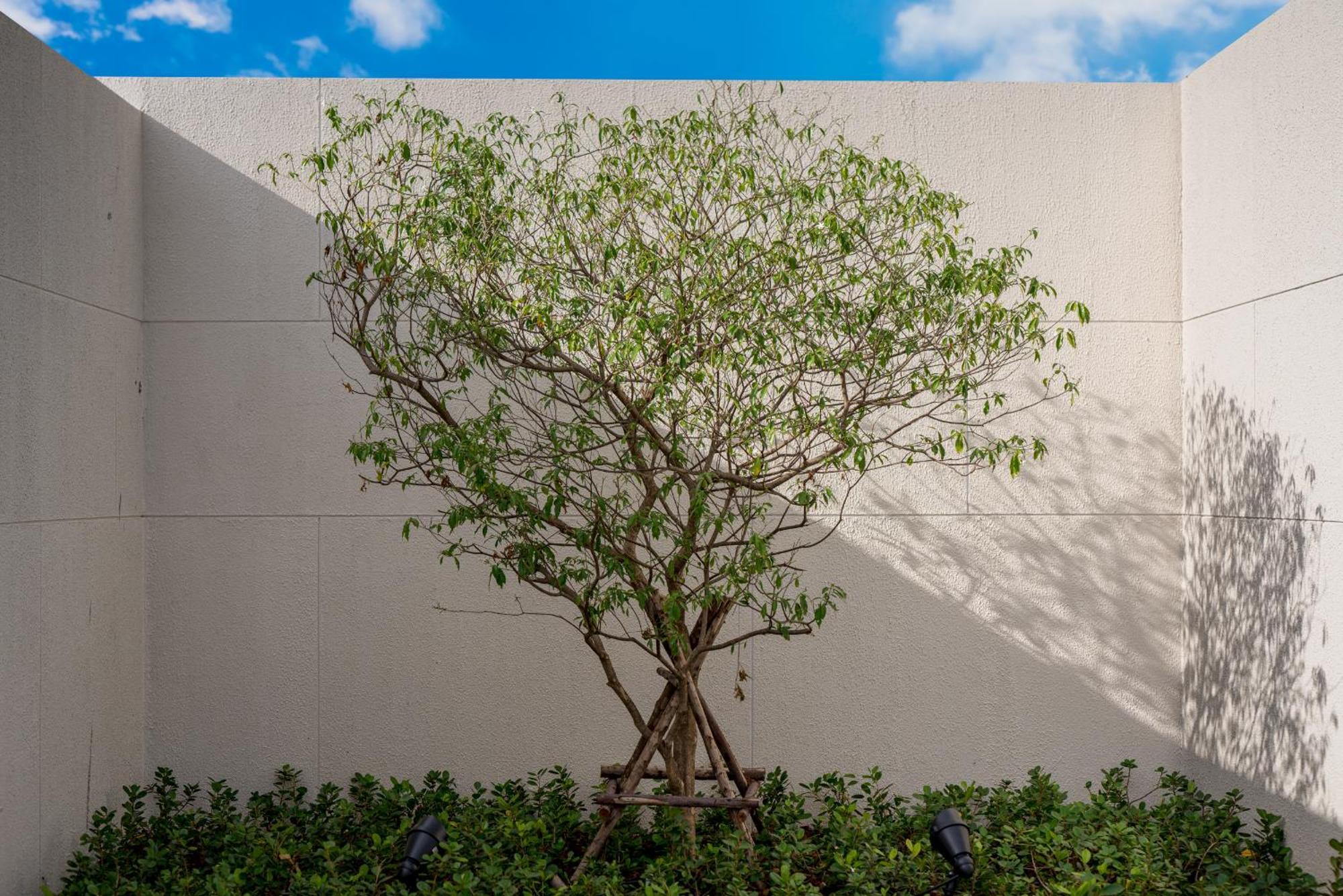 Niranapa Boutique Resort شاطئ كاتا المظهر الخارجي الصورة
